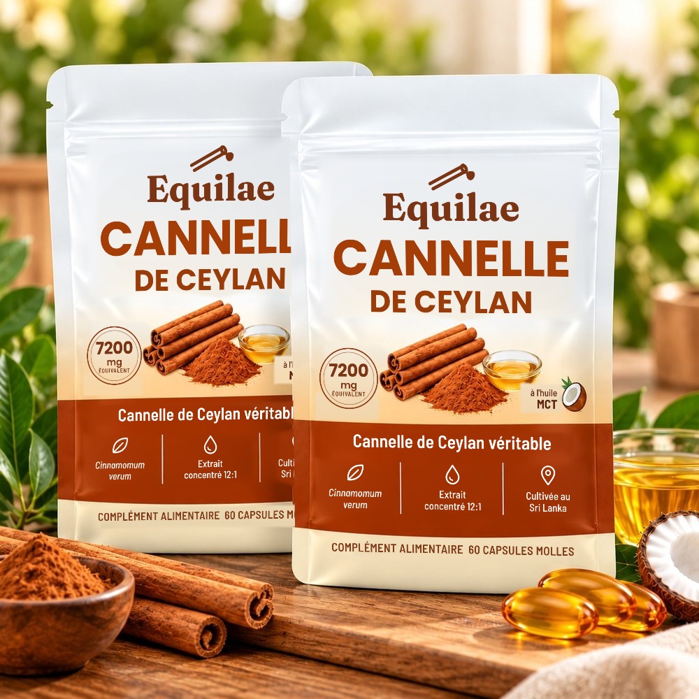 Deux sachets de cannelle de Ceylan Equilae