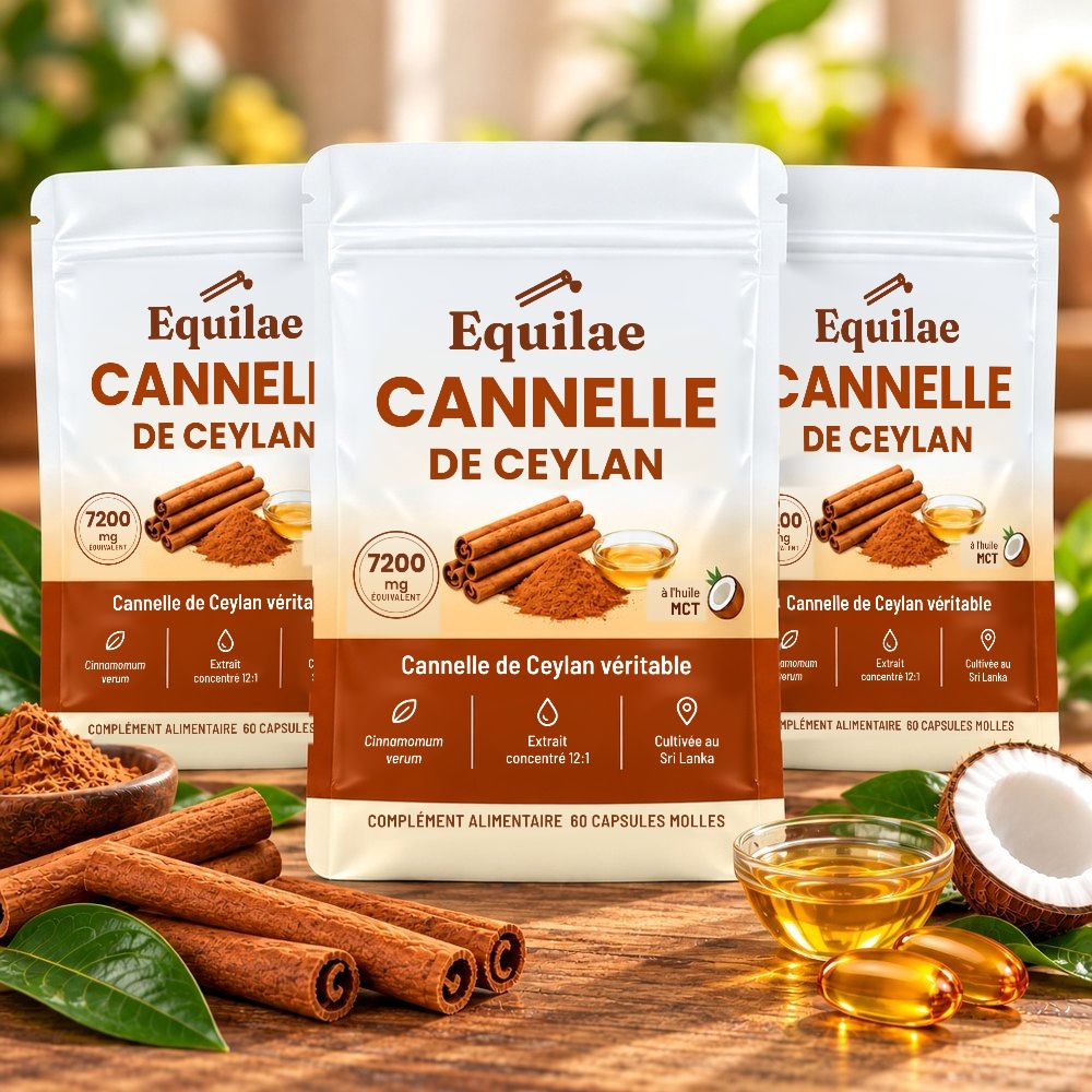 Trois sachets de cannelle de Ceylan Equilae
