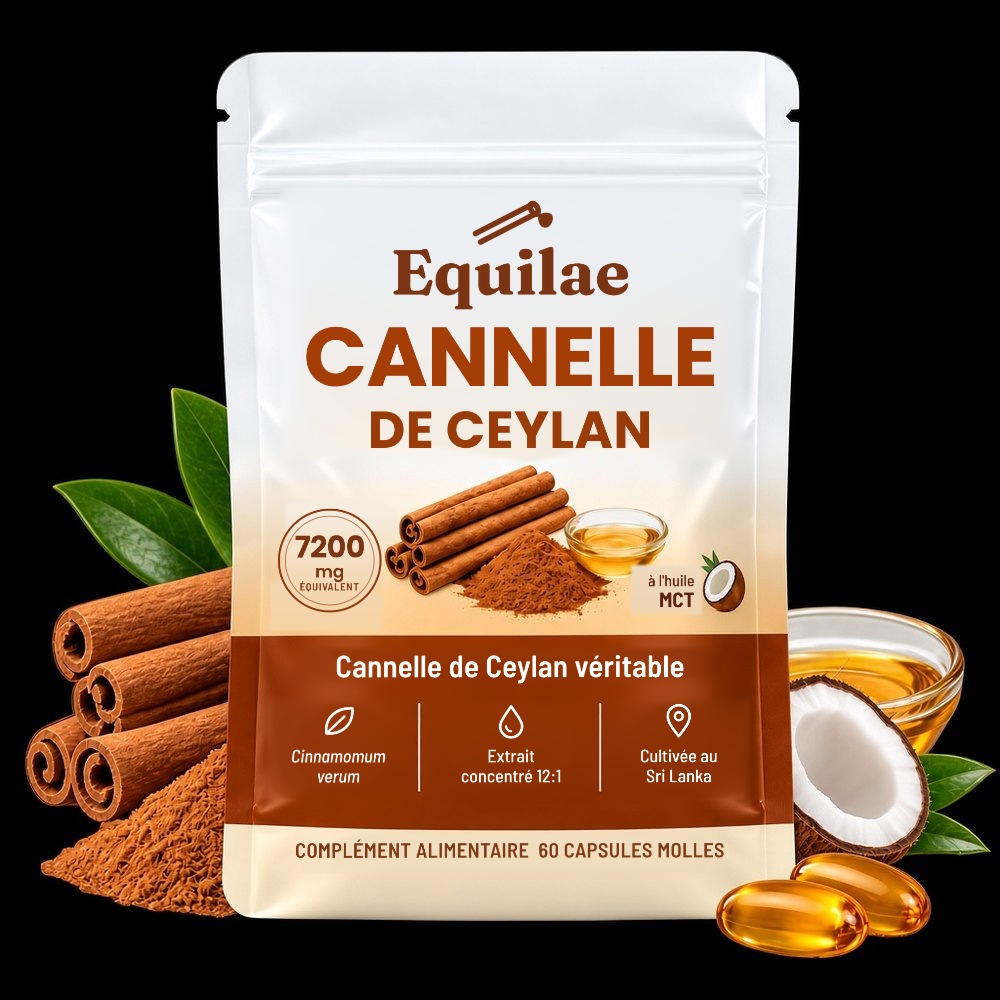 Sachet de cannelle de Ceylan Equilae sur fond noir